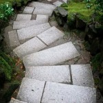 Reiki Levels